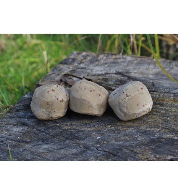 Lojové koule bez sítěk s hmyzem Suet To Go 12ks 4