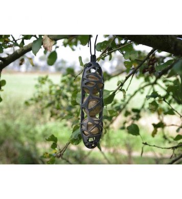 Lojové koule bez sítěk s hmyzem Suet To Go 12ks 2