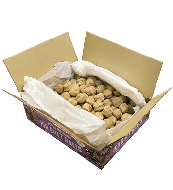 Lojové koule bez sítěk s hmyzem Suet To Go 150ks zelená domácnost com