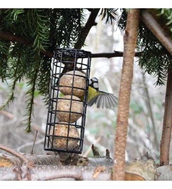 Lojové koule s hmyzím proteinem - 60ks Erdtmann 3