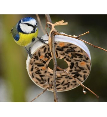 Lojové kroužky pro sýkorky 5ks 400g Erdtmanns