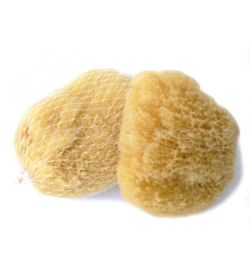 Mořská houba Karibská 7-9cm
