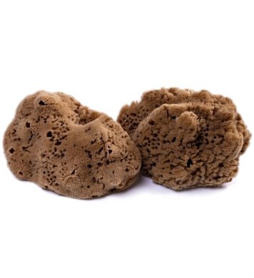 Mořská houba Mineral 15-16cm Caribbean Sun