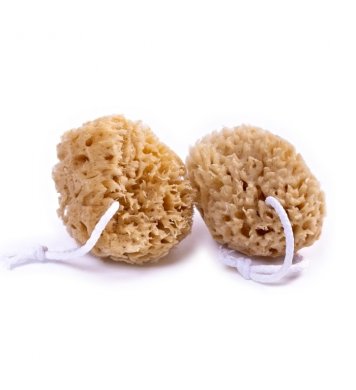 Mořská houba Mořská vlna 7-9cm s provázkem Caribbean Sun