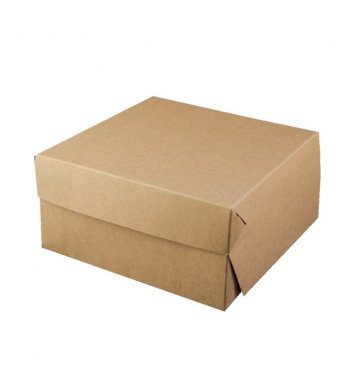 Papírová krabice kraft 20x20x10cm (50ks)
