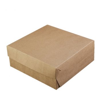 Papírová krabice kraft 25x25x10cm (50ks)
