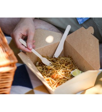 Jednorázový papírový box na jídlo pro gastro