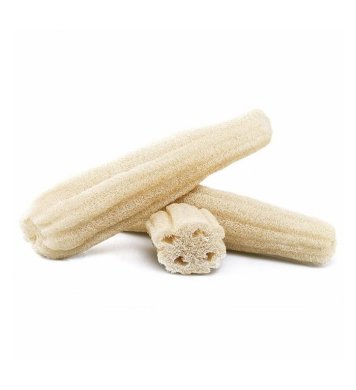 Luffa celá kulatá 40-50cm Caribbean Sun