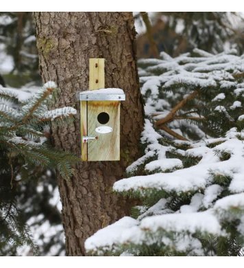 Ptačí budka pro střízlíky - otvor 3cm - přírodní Esschert Design 3