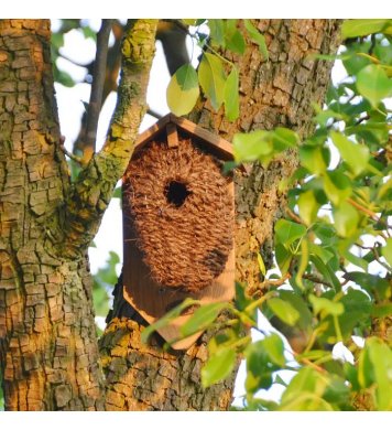 Ptačí budka z kokosových vláken s dřevěnou stříškou Esschert Design 6