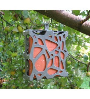 Ptačí koláč s oříšky 300g Pfiffikus 4