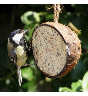 Ptačí krmítko kokos s náplní s moučnými červy - 10ks Suet To Go 3