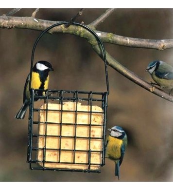 kvalitní Ptačí koláč s hmyzím tukem a bobulemi 300g Pfiffikus