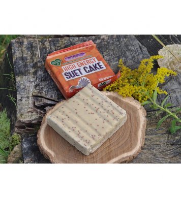 Ptačí lojové koláče s moučnými červy - 10ks Suet To Go 1