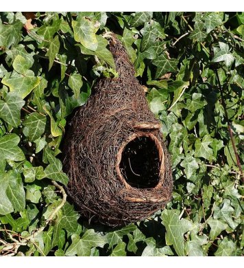 Ptačí polobudka - Brushwood