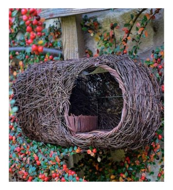 Ptačí polobudka Brushwood - pro červenky 3