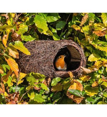 Ptačí polobudka Brushwood - pro červenky 1