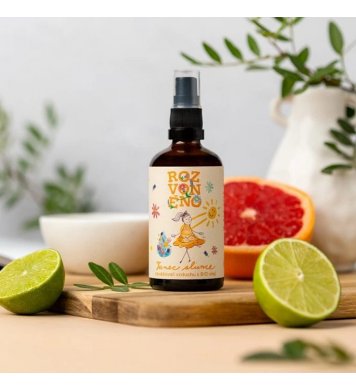 Rozvoněno Osvěžovač vzduchu - Tanec Slunce 100ml PŘÍRODNÍ