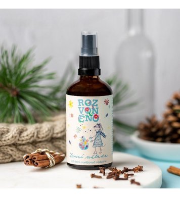 Rozvoněno Osvěžovač vzduchu - Zimní nálada 100ml greenstore.cz