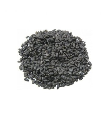 Slunečnice černá 1kg Avicentra 20