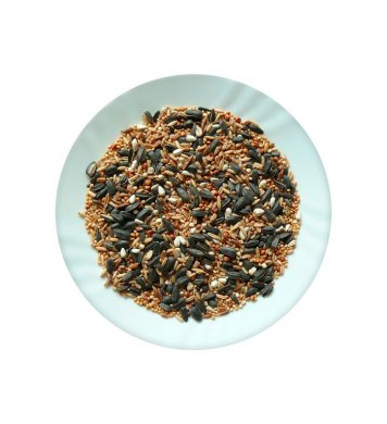 Směs semínek do krmítek 1kg Avicentra 20