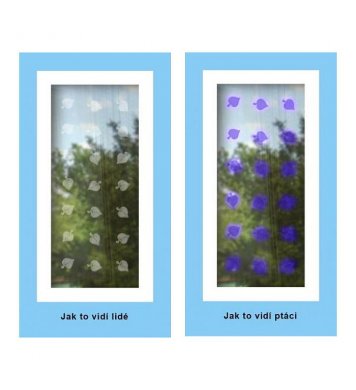 UV Snímatelné samolepky na sklo - listy lípy 40ks