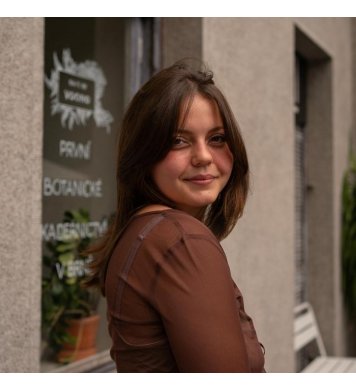 Voono Henna na vlasy Chestnut 100g