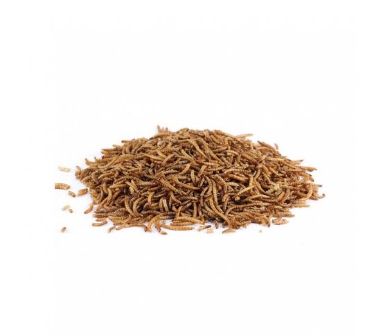 UGF Ptačí pochoutka - sušení mouční červi 1kg