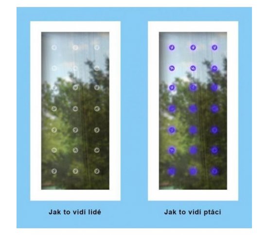 ochrana skel UV Samolepky na sklo proti ptákům 54ks - pták v kolečku