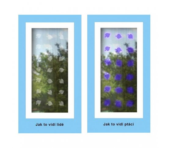 UV samolepky proti nárazů ptáků do skel listy lípy 40ks