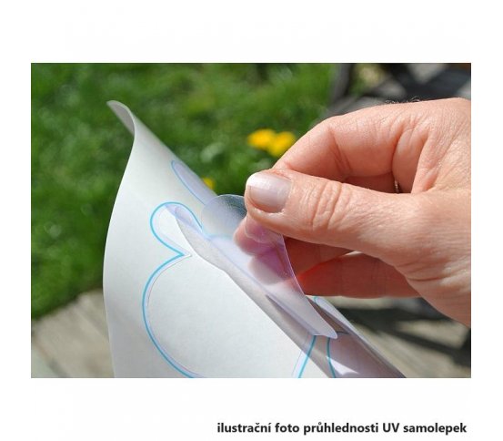 UV Snímatelné samolepky na sklo - listy lípy 40ks