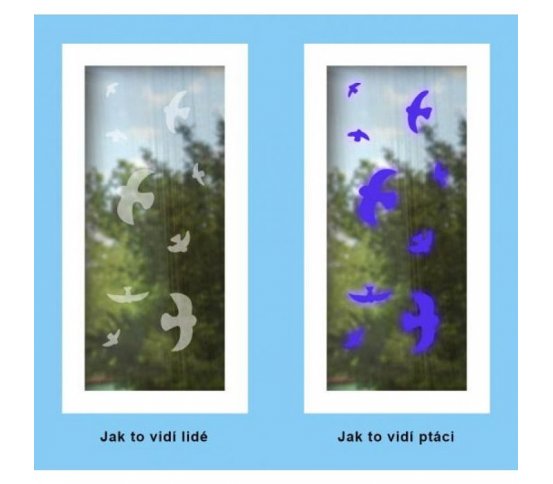 Snímatelné samolepky proti nárazům ptáků - siluety 9ks