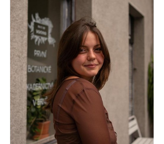 Voono Henna na vlasy Chestnut 100g